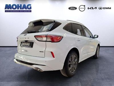 Gebraucht Ford Kuga ST-Line X 132 PS (97 kW) 2022 Weiss SUV