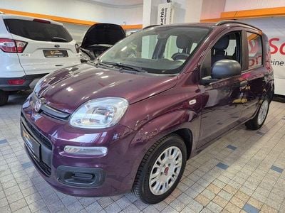 Gebraucht Fiat Panda 69 PS (50 kW) 2013 Violett Limousine