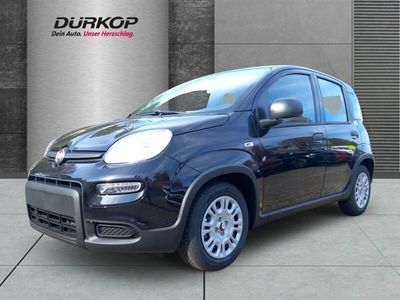 Fiat Panda Cross