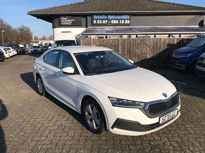 Usata Skoda Octavia Active 110 CV (80 kW) 2022 Bianco Berlina