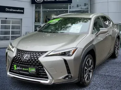 Gebraucht Lexus UX 250h 184 PS (135 kW) 2023 Weiß SUV