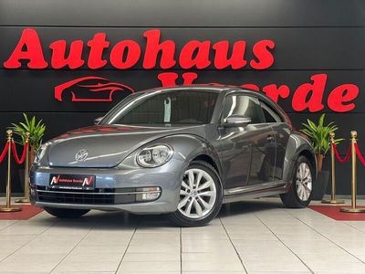 VW Beetle