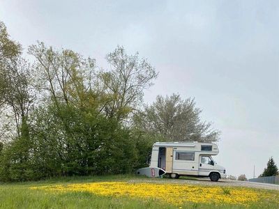 Gebraucht Fiat Ducato 75 PS (55 kW) 1993 Beige Van