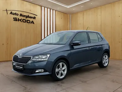 Gebraucht Skoda Fabia Cool Plus 60 PS (44 kW) 2020 Grau Kleinwagen