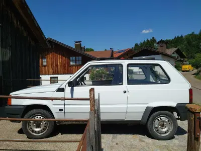 Gebraucht Fiat Panda 36 PS (26 kW) 1991 Weiß Kleinwagen