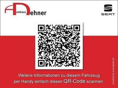 Neu Cupra Tavascan Endurance 210 kW (286 PS) 2026 Grau SUV