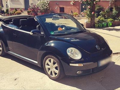 VW Beetle