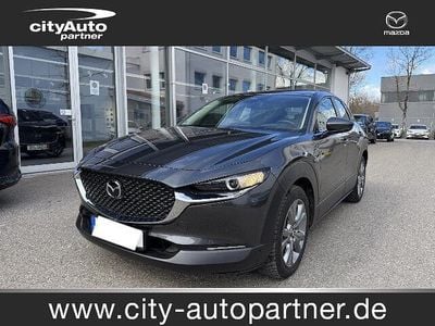 Gebraucht Mazda CX-30 Exclusive-Line 122 PS (89 kW) 2024 Machine grey SUV