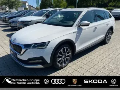 Gebraucht Skoda Octavia Scout 4x4 200 PS (147 kW) 2023 Candyweiß Kombi