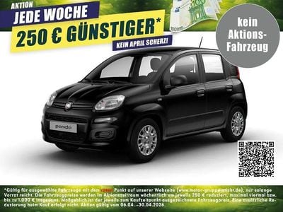Neu Fiat Panda Pop 69 PS (50 kW) 2025 Schwarz Kleinwagen