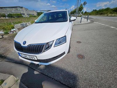Usata Skoda Octavia Ambition 150 CV (110 kW) 2020 Bianco Station wagon
