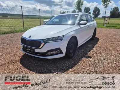 Gebraucht Skoda Octavia First Edition 150 PS (110 kW) 2021 Moonweiss metallic Kombi
