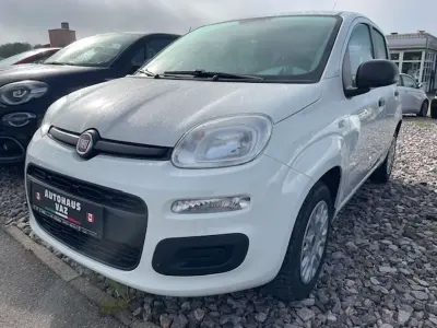 Occasion Fiat Panda Easy 69 ch (50 kW) 2020 Blanc Citadine
