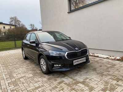 gebraucht Skoda Fabia Ambition