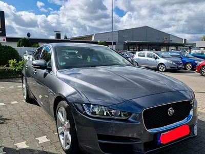 Usata Jaguar XE 180 CV (132 kW) 2016 Grigio Berlina