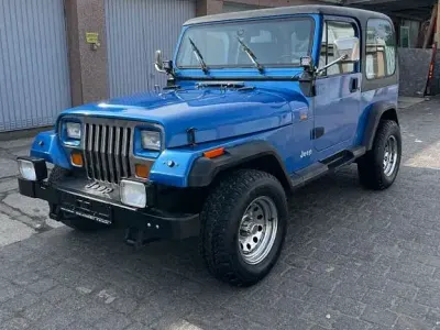 Gebraucht Jeep Wrangler 121 PS (88 kW) 1994 Blau SUV