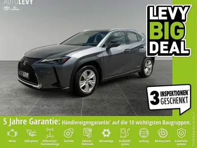 Gebraucht Lexus UX 250h Business Edition 184 PS (135 kW) 2021 Grau SUV