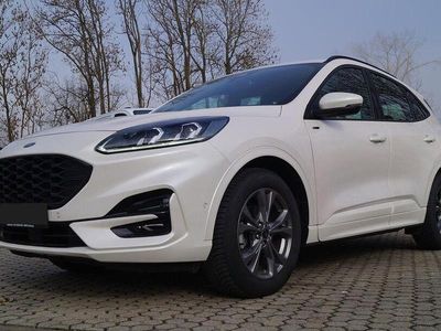 Gebraucht Ford Kuga 111 PS (81 kW) 2023 Weiss SUV