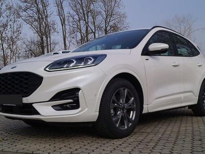 Gebraucht Ford Kuga ST-Line 111 PS (81 kW) 2023 Weiss SUV