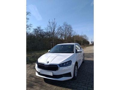 Candyweiß uni Gebraucht 2024 Skoda Fabia Active Kleinwagen | 15.850 € (Fairer Preis)