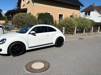 Gebraucht VW Beetle 102 PS (75 kW) 2014 Weiß Kleinwagen
