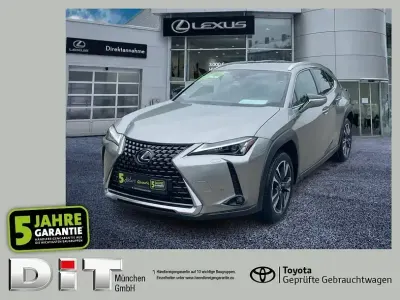 Gebraucht Lexus UX 250h