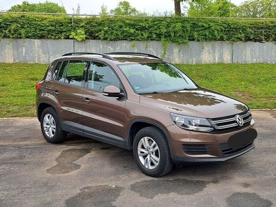 gebraucht VW Tiguan 2.0 TDI 81kW BlueMotion + AHK + KAMERA