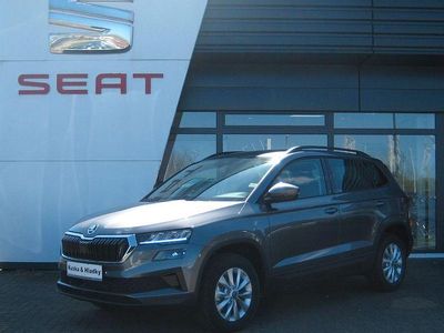 Nuova Skoda Karoq Selection 150 CV (110 kW) 2026 Grigio SUV