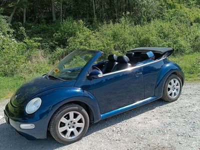 gebraucht VW Beetle möchte auf neue Reisen gehen
