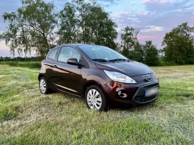 Occasion Ford Ka Plus Trend 69 ch (50 kW) 2009 Violet Citadine