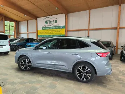 Gebraucht Ford Kuga ST-Line X 224 PS (164 kW) 2023 Silber SUV