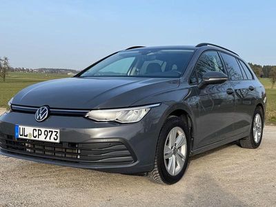 Gebraucht VW Golf VIII Life 116 PS (85 kW) 2022 Grau Kombi