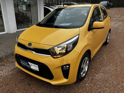 Gebraucht Kia Picanto Edition 7 67 PS (49 kW) 2020 Honey bee Kleinwagen