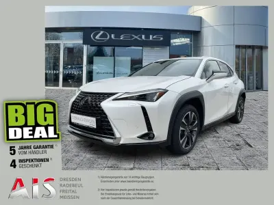 Gebraucht Lexus UX 250h 184 PS (135 kW) 2023 Titaniumweiß SUV
