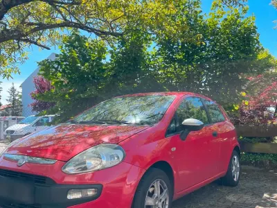 Usata Fiat Punto
