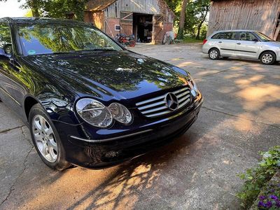 Gebraucht Mercedes CLK240 170 PS (125 kW) 2002 Blau Coupé