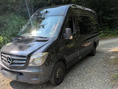 Gebraucht Mercedes Sprinter 114 PS (83 kW) 2018 Schwarz Van