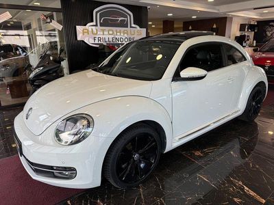 VW Beetle