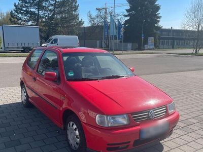 VW Polo