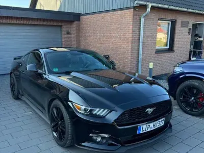 Używany Ford Mustang 317 KM (233 kW) 2015 Czarny Coupe