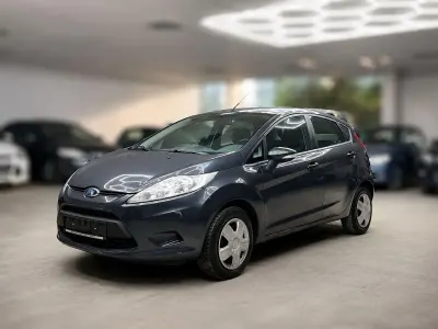 Gebraucht Ford Fiesta Trend 97 PS (71 kW) 2010 Grau Kleinwagen