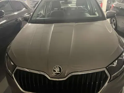 Gebraucht Skoda Fabia Style 110 PS (80 kW) 2019 Grau Kleinwagen