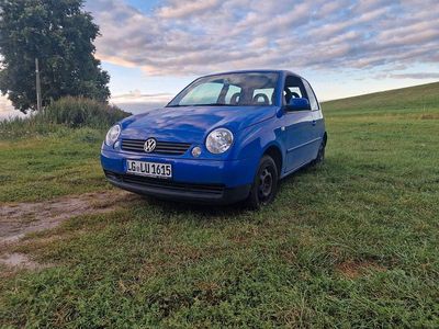 Blau Gebraucht 2002 VW Lupo Kleinwagen | 1.600 € (Etwas zu teuer)