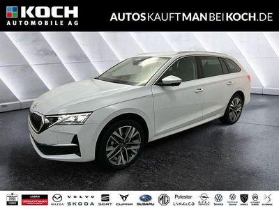 Neu Skoda Octavia Lounge 150 PS (110 kW) 2025 Weiß Kombi