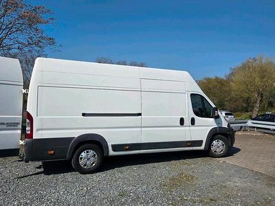 Gebraucht Fiat Ducato 180 PS (132 kW) 2014 Weiß Van