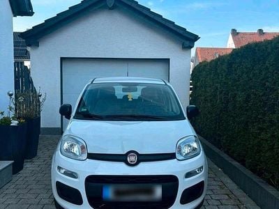 Gebraucht Fiat Panda 70 PS (51 kW) 2021 Weiß Kleinwagen