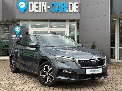 Gebraucht Skoda Scala Drive 116 PS (85 kW) 2020 Grau Kleinwagen