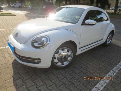 VW Beetle
