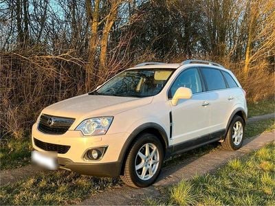 Usata Opel Antara 163 CV (119 kW) 2015 Bianco SUV