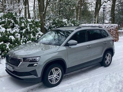 Grau Gebraucht 2024 Skoda Karoq Fresh SUV | 28.900 € (Superpreis)